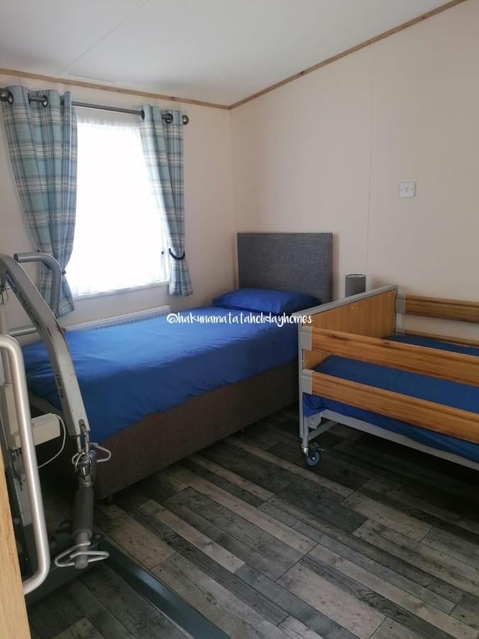 Hakuna Matata Holiday Home New Quay Exterior foto